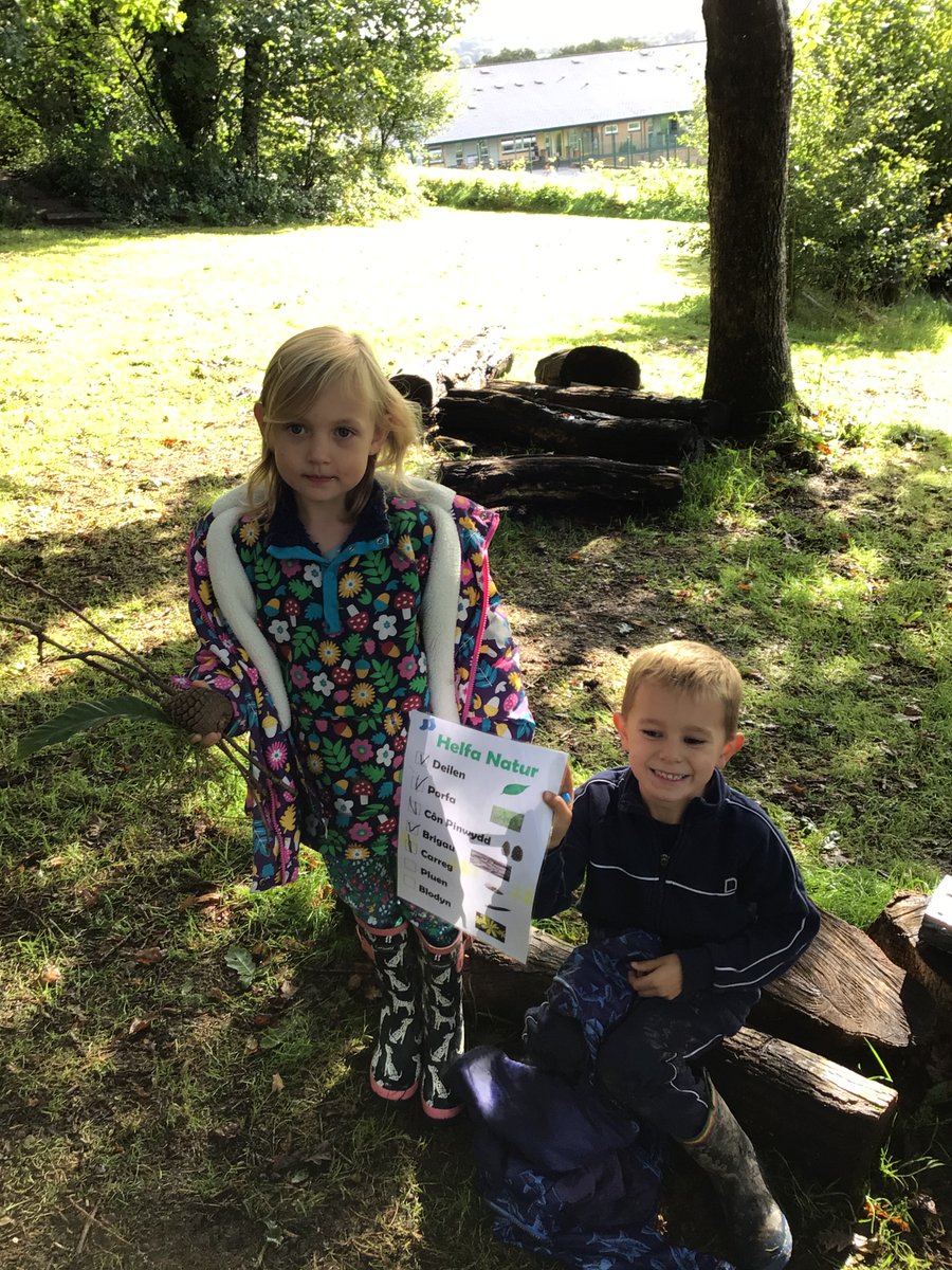 ysgolydderwen tweet picture