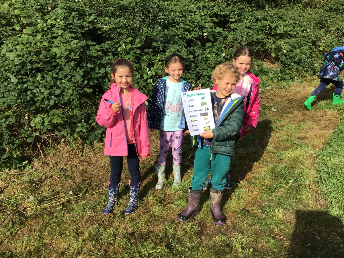 ysgolydderwen tweet picture