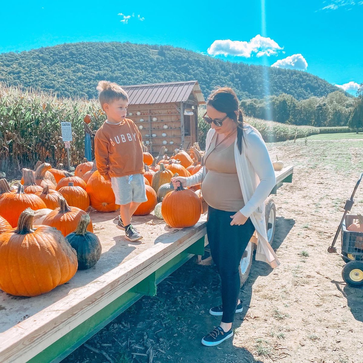 SarahSwimelar's tweet photo. Hello October! Can’t believe we’re adding another one to our crew next month!🧡🎃 https://t.co/RHzVuYsdbZ