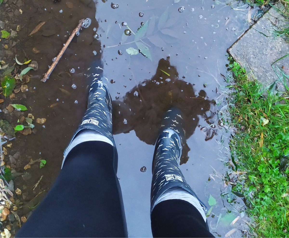 All about the waterproof socks today, no need to walk around puddles now! #soggywellies #dryfeet #edz #waterproofsocks #merinowool