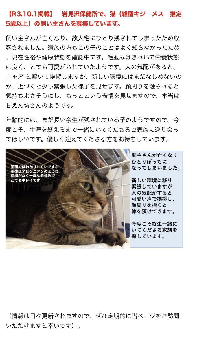 釧路振興局さん 飼い主さがしノート 成猫の子達 緊急里親募集案件とのことです とありますので 北海道 保健所 里親募集 釧路振興局さん 飼い主さがしノート 成猫の子達 緊急里親募集案件とのことです とありますので 北海道 保健所 里親募集