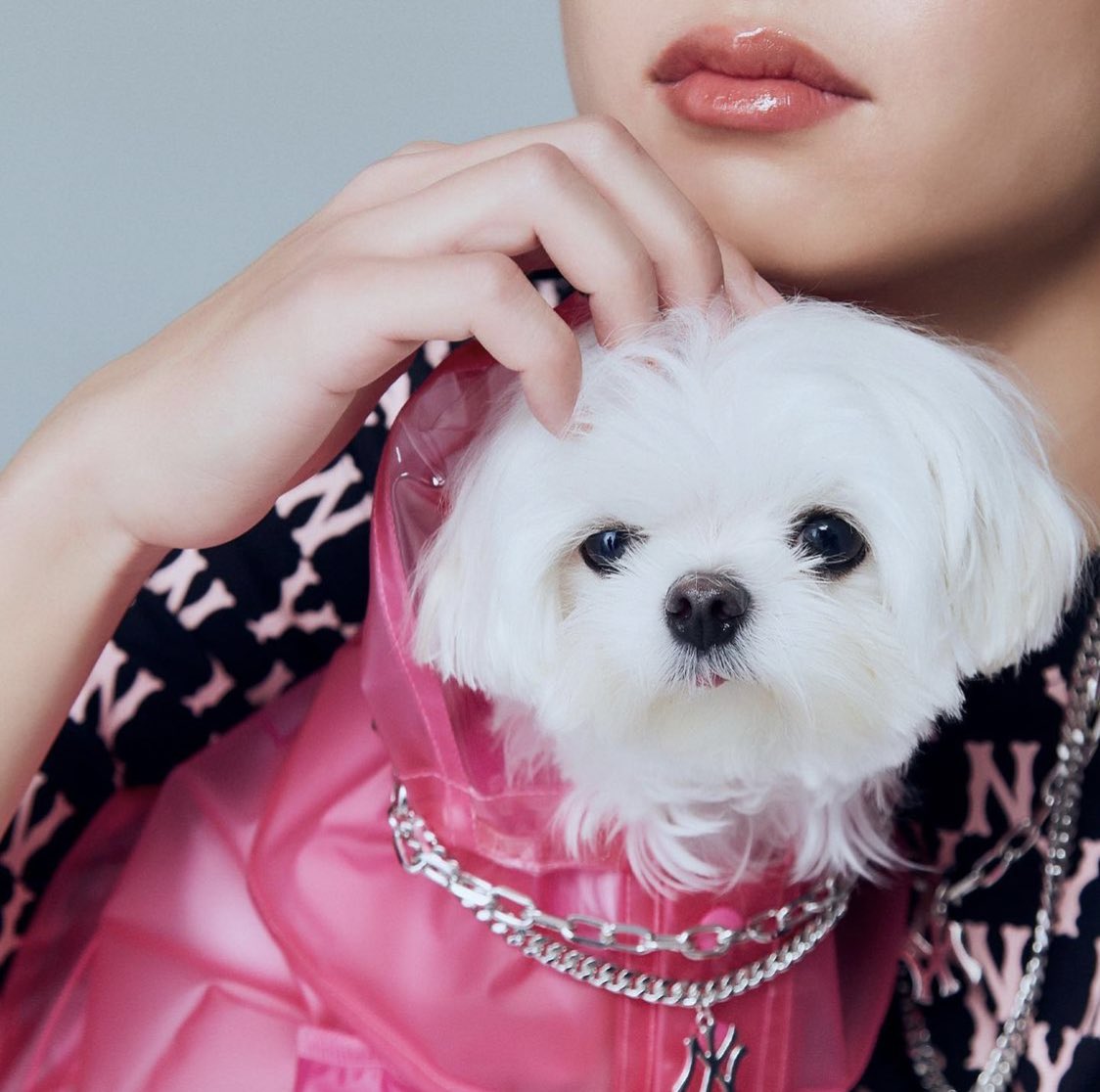 offgun_family's tweet photo. 🐶👶🏻💚 
#GunBiBiXMintPet

#MLBPet #MLBCrewth #MLBThailand 
#MintMagTH

[01•10•2021]
IG Update : gun_atthaphan
⚡️ https://t.co/BYCrPhxTCr

 #กันอรรถพันธ์น่ารักกว่าที่คิด 
#กันอรรถพันธ์ 
#ออฟกัน https://t.co/pqRgXyZNi4