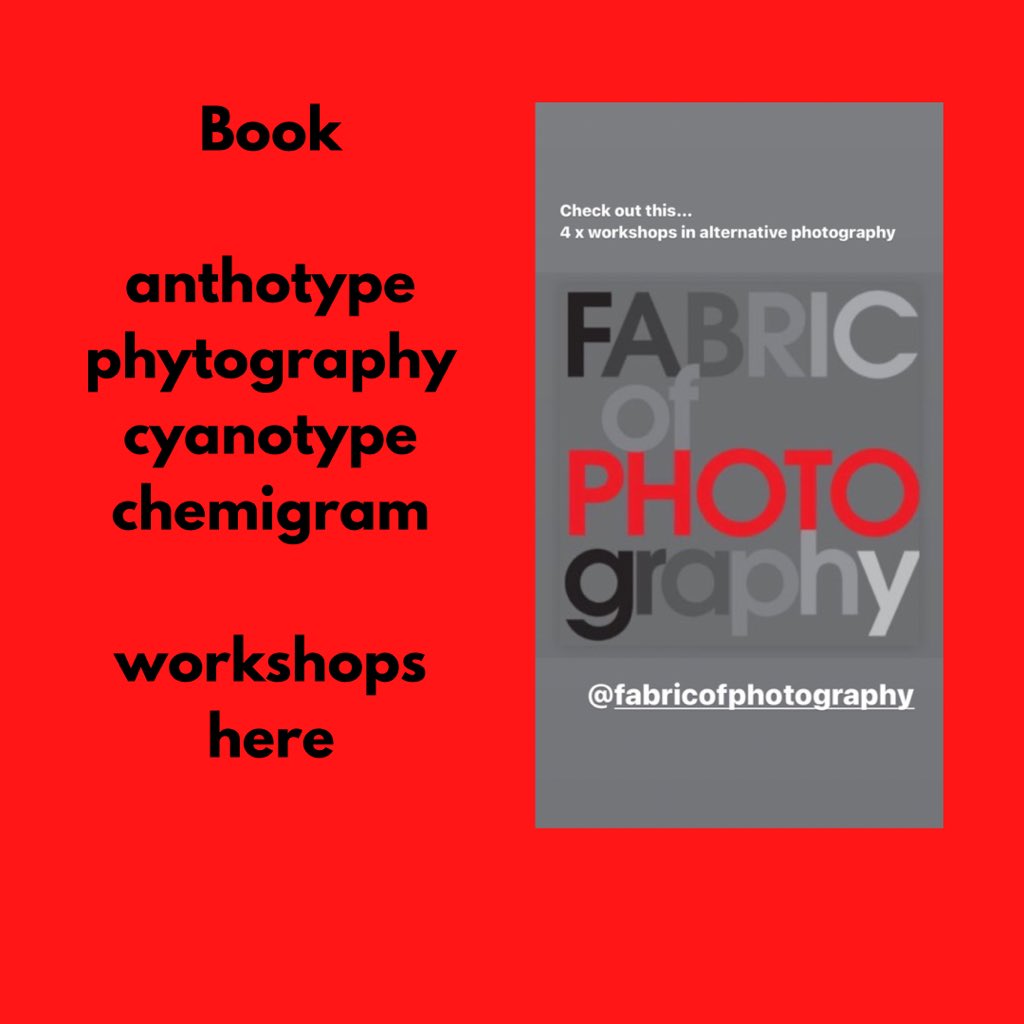 MeganRingrose's tweet photo. It’s official one ticket left on our #phytography workshop
These workshops will be delivered in Oxford face to face as part of @Photo_Oxford
Book your place today to avoid disappointment
Online booking
https://t.co/TVWJ0OEWjP https://t.co/rRucRgOugU