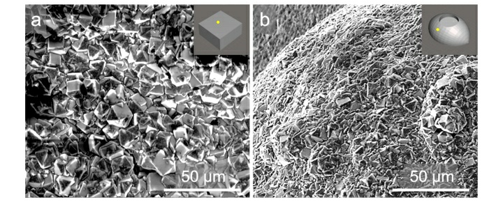 Engineeringkate's tweet photo. 2. Shows the results of non planar polycrystalline diamond and osteoblast interaction with @Aaqil_Rifai @Craniophiles @MarsileaB Nhiem Tran
https://t.co/Cryu5Cz14m https://t.co/CVo2NMPi9o