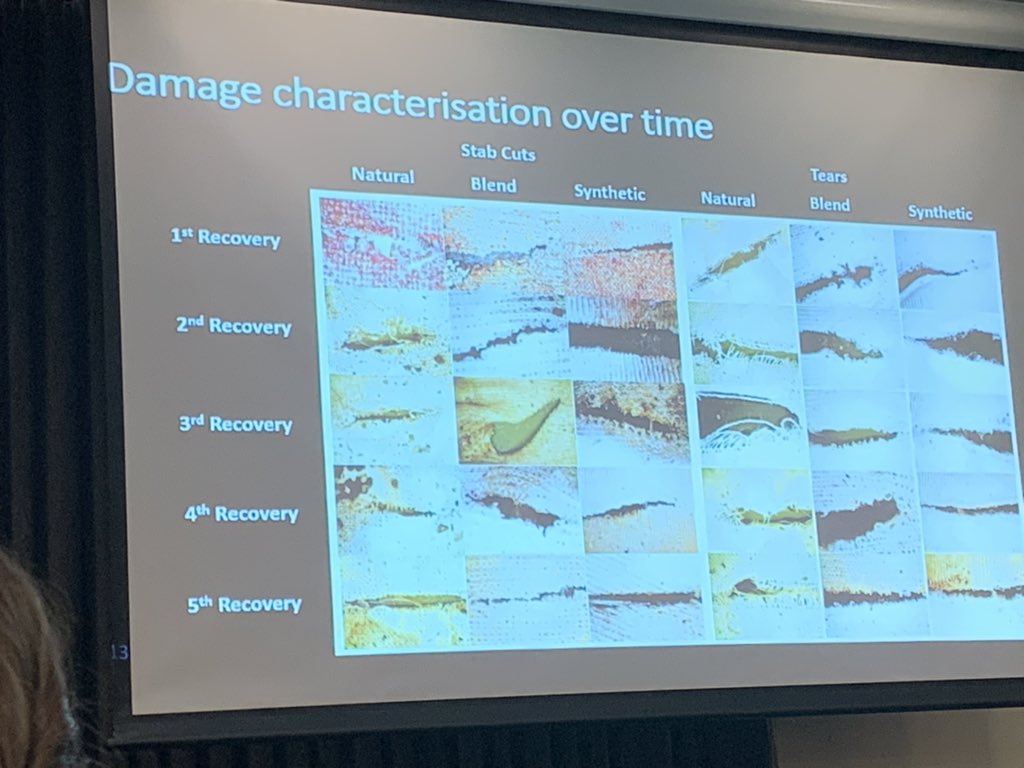 ANZFSS_WA's tweet photo. Could you tell the difference between textile damage caused by assault vs insect activity? @StevieZiogos from @murdochforensic is exploring the importance interface between #ForensicEntomology and #TextileDamageAnalysis https://t.co/TKJN2k6zo6