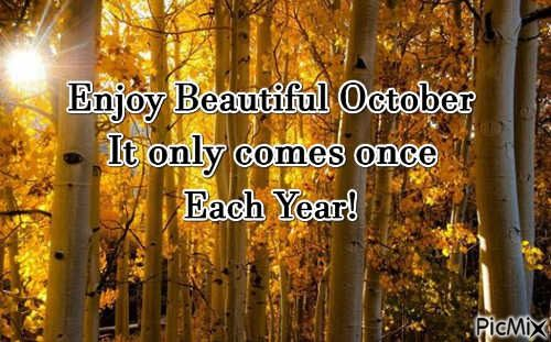 Verywimp's tweet photo. @KVajpayaee @MadhubalaStefan @annievandenber2 @TopogigioRini @SLARTZONE @kosmomireille @PenelopeRuzy @sadino22 @CanelaCoffe @OsbeliaFlores @EthanNaht1 @VaderVanella @_Cristian_Vlad_ @MissHissyKat @IronBuffalo1 @Scorpianking50 @QuattroMori61 @MrShikharMisra @toshiharu2099 @lynda3035 @AyhanAkinn @crea_bea_5 @blakiecarmen @Jilliemary @PietaSpoelstra @Denise47847327 @CherrylezamaPaz @AngelaVitacco @marubufalino @Denise36330646 @90ktt @130629130629 @StefanSubotic91 @djmycofyth @EehHorn @luisavannucchi @ramziyanis1 @MMuller2019 @Didinette02 @otrogoga60 @Katyayan27 @MikiMiyazaki13 @iBeegike1 @VincentCassid14 @MSpadine @EnzoDeLuca19881 @DonnaBrent10 @PoirotPoriot @AnatCastle #EnjoyOctober https://t.co/RWAraXbLlK