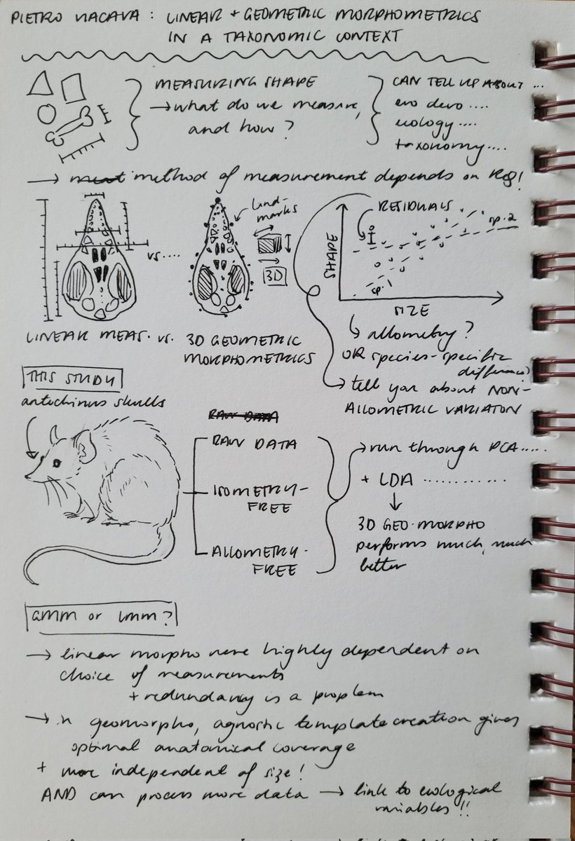 <a href="/pietro_viacava/">Pietro Viacava</a>'s #amsc2021 talk made me wish I could draw in 3D! Maybe for the next geo morpho talk I'll have to take my notes in Blender... fascinating stuff as always, really enjoying this arvo's sessions!