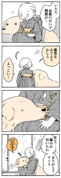 台風の日🌀

#姫ばあちゃんとナイト
(単行本発売中✨) 