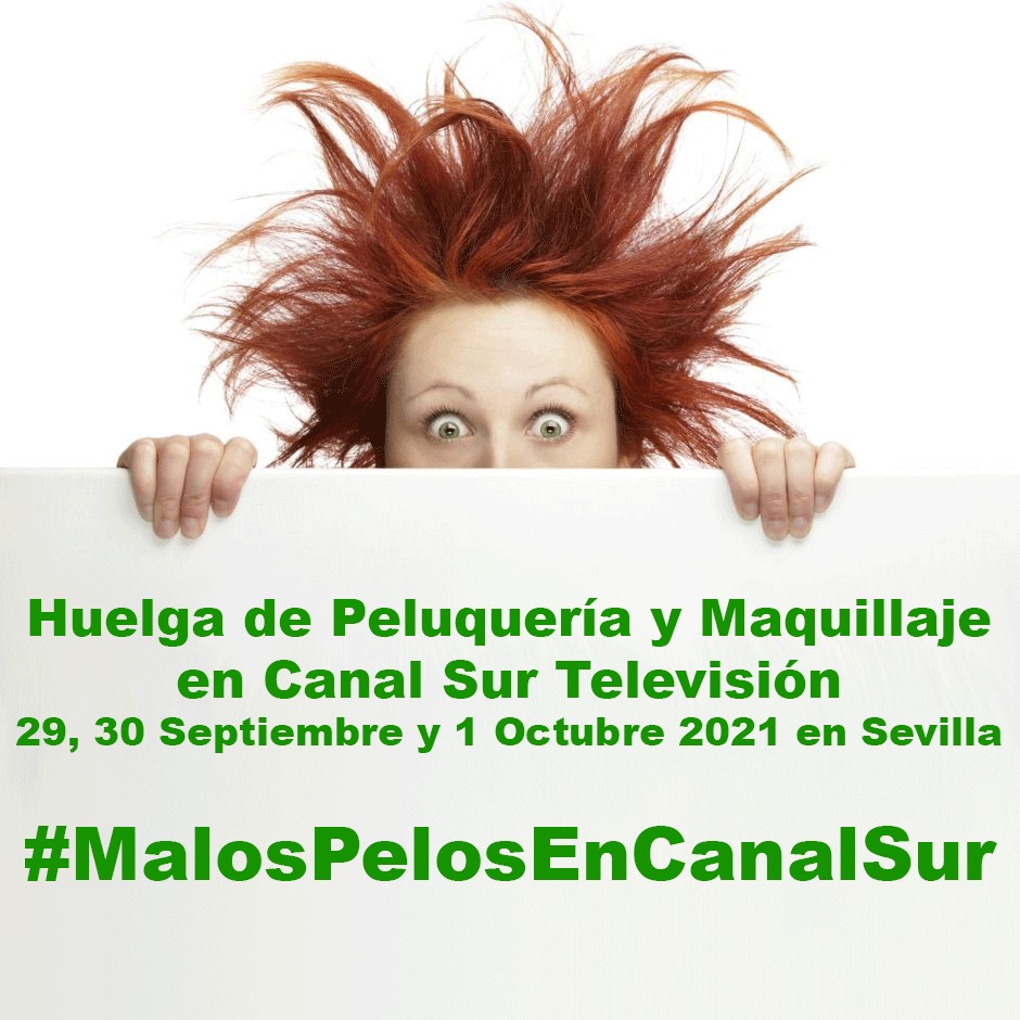 Estamos en #Huelga en <a href="/canalsur/">CanalSur</a> debido a la modificación en las condiciones de #trabajo que buscan eliminar las contrataciones de fin de semana y precarizar todavía más nuestra situación laboral. Cobramos el #SALARIOMÍNIMO y nos EXPLOTAN AL MÁXIMO #MalosPelosEnCanalSur