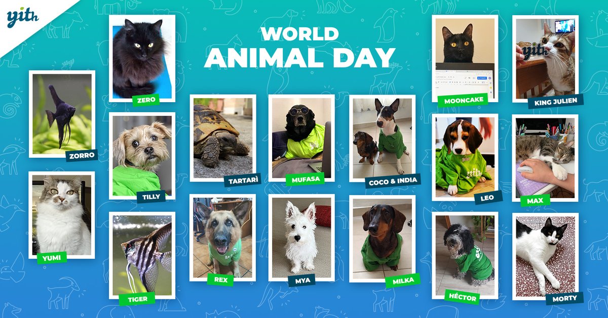 Did you know that today is #WorldAnimalDay? We want to present you the pets of YITH, our most faithful companions💚💙 These adorable creatures certainly helped us with inspiration and accidental drool on the keyboard 🤤