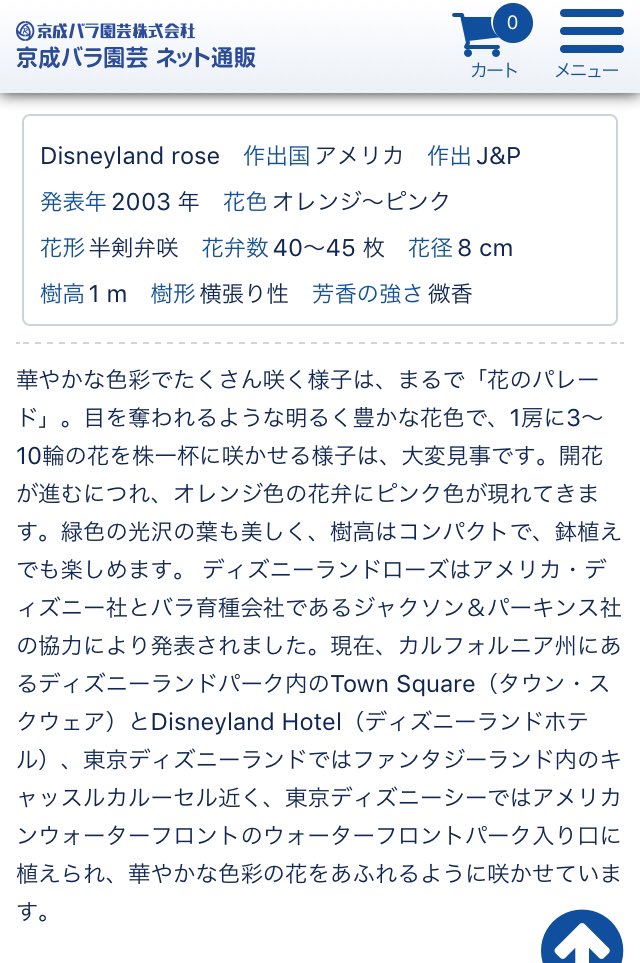 ディズニーくらいになるとオリジナルでバラの品種作ってそうと思ってたんだけど、本当にあった😳
その名もディズニーランドローズ🌹✨
東京のランドとシーでも咲いてるみたいね。
ピンクとオレンジが可愛い色合いの薔薇🥰