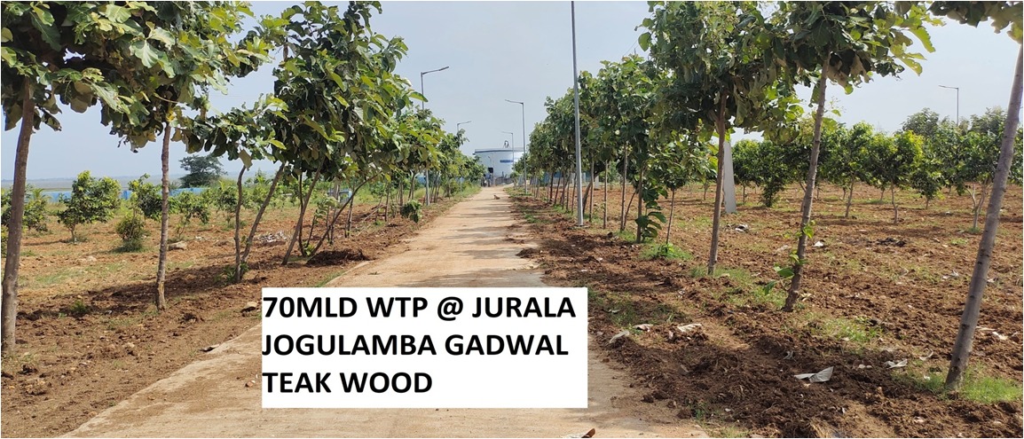 mb_telangana's tweet photo. We at Mission Bhagiratha have so far successfully planted 24195 high value, 61584 fruit bearing and a total of 177146 plants all together at our premises all over the state. 🌱

And we are very sure that this number will go up in the coming year or two.
@SmitaSabharwal https://t.co/LxNco63ipX