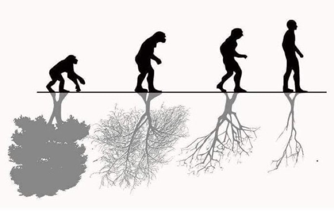 peter_mcgahan's tweet photo. Evolution of mankind.
Devolution of the environment. 

#SDG13 #SDG15 https://t.co/i9WeerpDx8