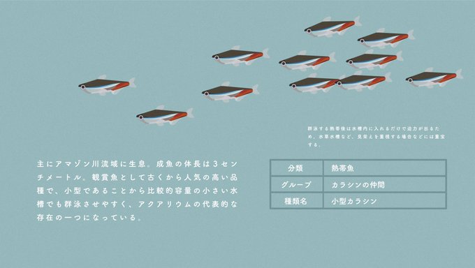 ネオンテトラのtwitterイラスト検索結果 ネオンテトラのtwitterイラスト検索結果