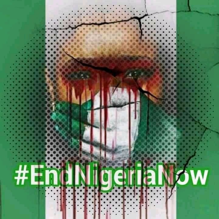 It's Only a 🇳🇬 Zoo Janjaweed that will celebrate a F00l & a disappointment @61

God bless MNK 💌
#BiafraExit
#FreeNnamdiKanuNow
#AmbazoniaFreedom
#AmbazoniaIndependenceDay 🤝
Read top quotes 👇👇 for Zoo at 61.

facebook.com/10270274507637…