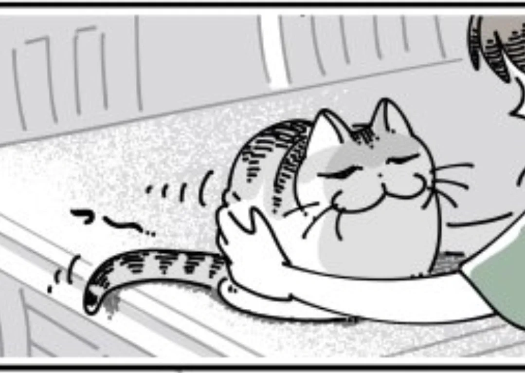 @kyuryuZ ここで肉が寄るのすこwwww 