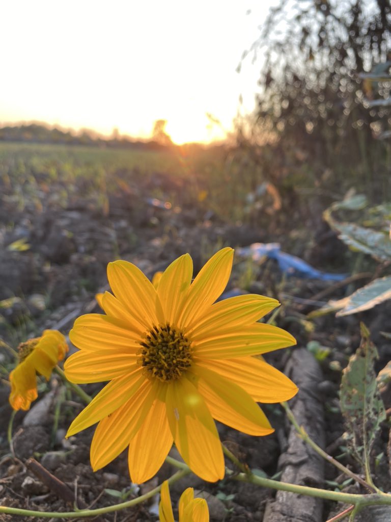 #miAccorgo che l’autunno è una seconda primavera! #1ottobre