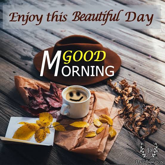 🤎💛Good morning my sweet friends🍁🌻I wish you all a lovely Friday🍁💫☕🍂💛🤎😘