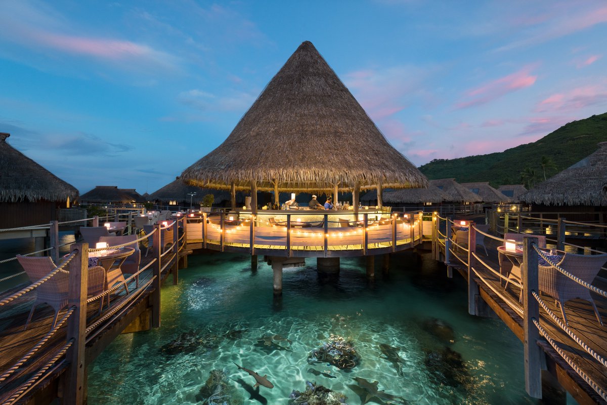 HiltonMoorea's tweet photo. Let's discover our unique crêperie ! The perfect place for an informal dinner...and it’s over the water! 

#hiltonmoorea #hiltonhotels #tahiti #moorea #lovetahiti #frenchpolynesia #polynesiefrancaise #beautifuldestinations 
#foodlovers  #polynesianfood #frenchfood #creperie https://t.co/ItL5hlxWbg