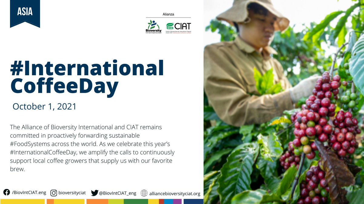 It's #InternationalCoffeeDay2021! ☕

We remain committed in proactively forwarding sustainable #FoodSystems across the world 🌍, In Vietnam we are working with various actors to ensure sustainable coffee production.

Learn more 👉alliancebioversityciat.org/stories/using-…