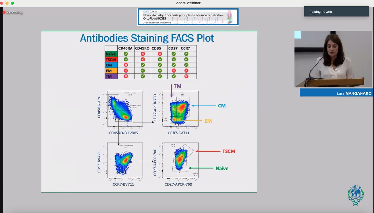 Benvenutilab tweet media