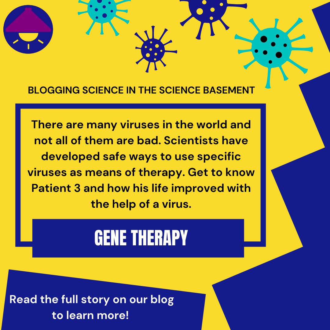 ScienceBasement's tweet photo. Do you know about gene therapy? ⚕️🧬 Read how some viruses can be used in gene therapy in our latest blog by Usha Mohanraj from Helsinki University.
👉https://t.co/bxBWNEfPSc
#scicomm #ScienceBasement #scienceblogging #genetherapyresearch #PhDLife #UniversityOfHelsinki https://t.co/kduPLMYDwM