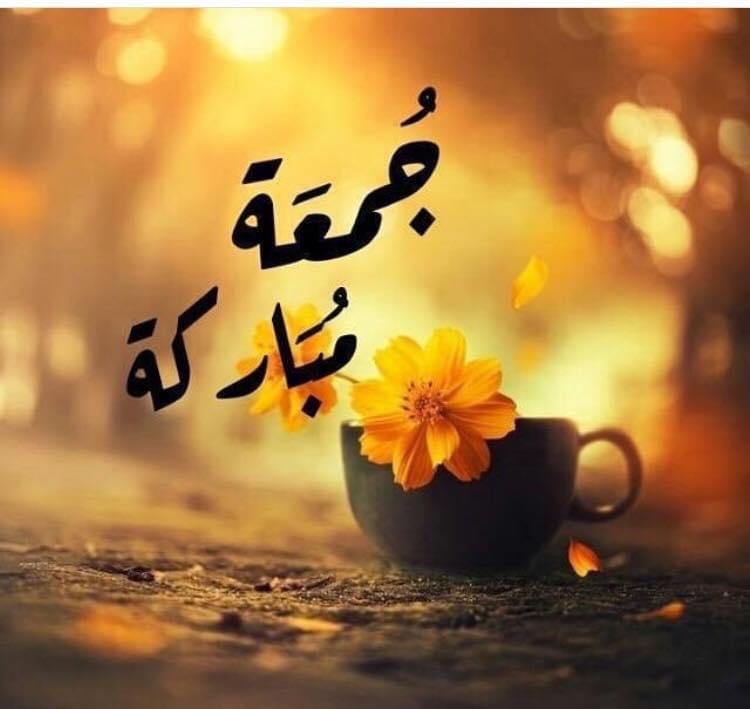 Ali61703237's tweet photo. @___sasaqq https://t.co/zgcvBtbqg4