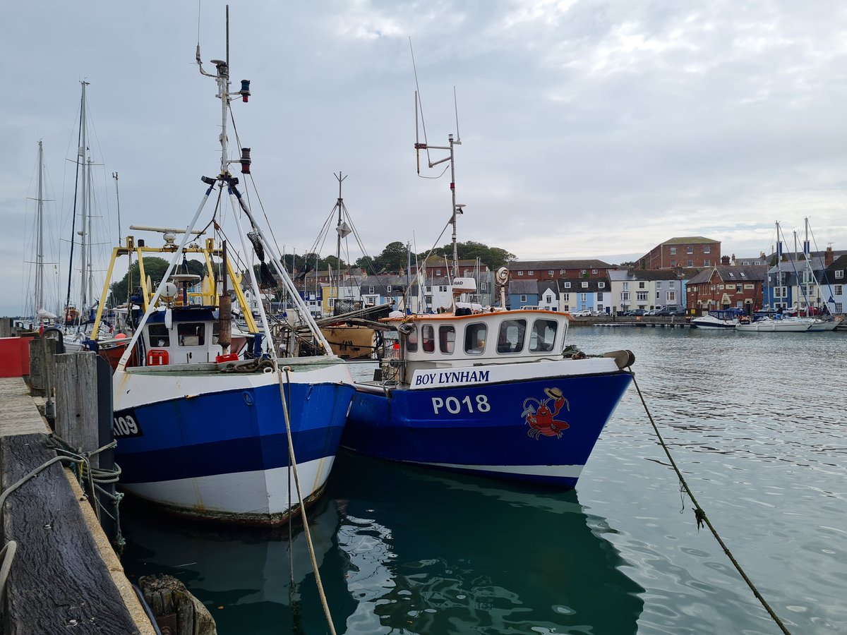 BD_Stew's tweet photo. UK #fishing industry set to lose £300 million due to #Brexit, reveals new analysis for the @NFFO_UK From the start on @BBCFarmingToday
https://t.co/YD80aZTkCQ #BrexitReality #Brexality #fisheries https://t.co/MK8uOBEm08