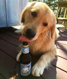 Timeline Cleanser Cleansertl Twitter