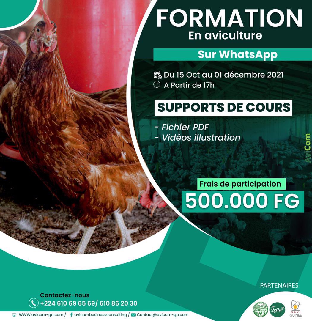 Dansk2018's tweet photo. Fin de la polémique !vous avez une formation taillée sur mesure sur la poule pondeuse .
Des groupes d ‘échanges sur Whatssap ,des fichiers PDF et des vidéos d’illustration pour chaque thèmes seront disponible et commentés.

https://t.co/YIkan7Bo6d https://t.co/PMpxvL6Cai