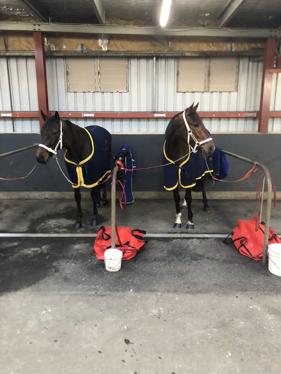 BrewinRacing's tweet photo. Tonight we head to @Bdtc150 with two runners hoping to qualify for the home grown classic 

#Scrittore is in race 3 drawn 7 
Will need his share of luck from the draw

#WillsWay race 4 number 7 
Having his first start also drawn awkward and needs things to go his way 

Good luck https://t.co/61yKOB0Wnp