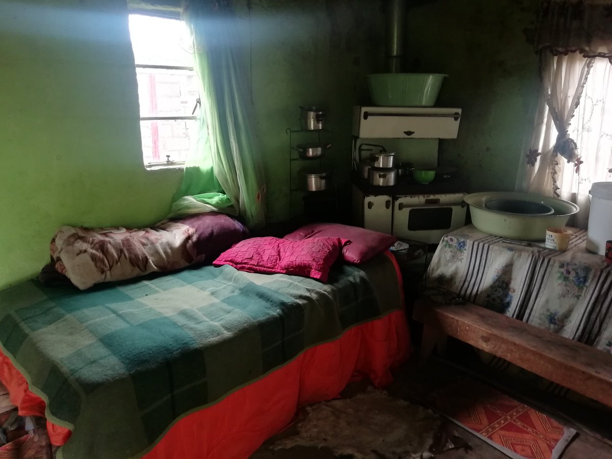 SIMBA WITH FLAVOURS 🦁🫧 tweet media