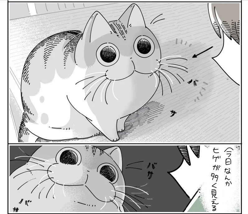 @kyuryuZ 見つめあう２人
(=●ω●=) (´°‐°｀) 