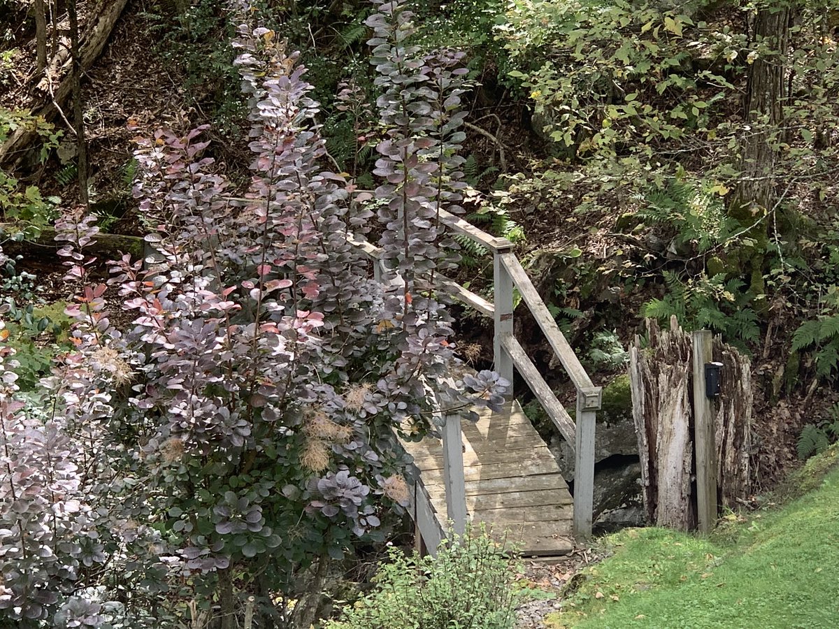PaulHoward_IMIT's tweet photo. #riseandgrind early early hike on lake road 🦉🦌🌳 >then such an amazing day professional development with team BC, AB, SK, MB. #SalesIsLife #growthmindset #SalesHacksOttawa 👊 
.
Saturday MORE free haircuts kids Heron Gate Barber @SEOCHC 
.
Then @CPCTier2 home opener #cpcstyle https://t.co/zau8hulYBe
