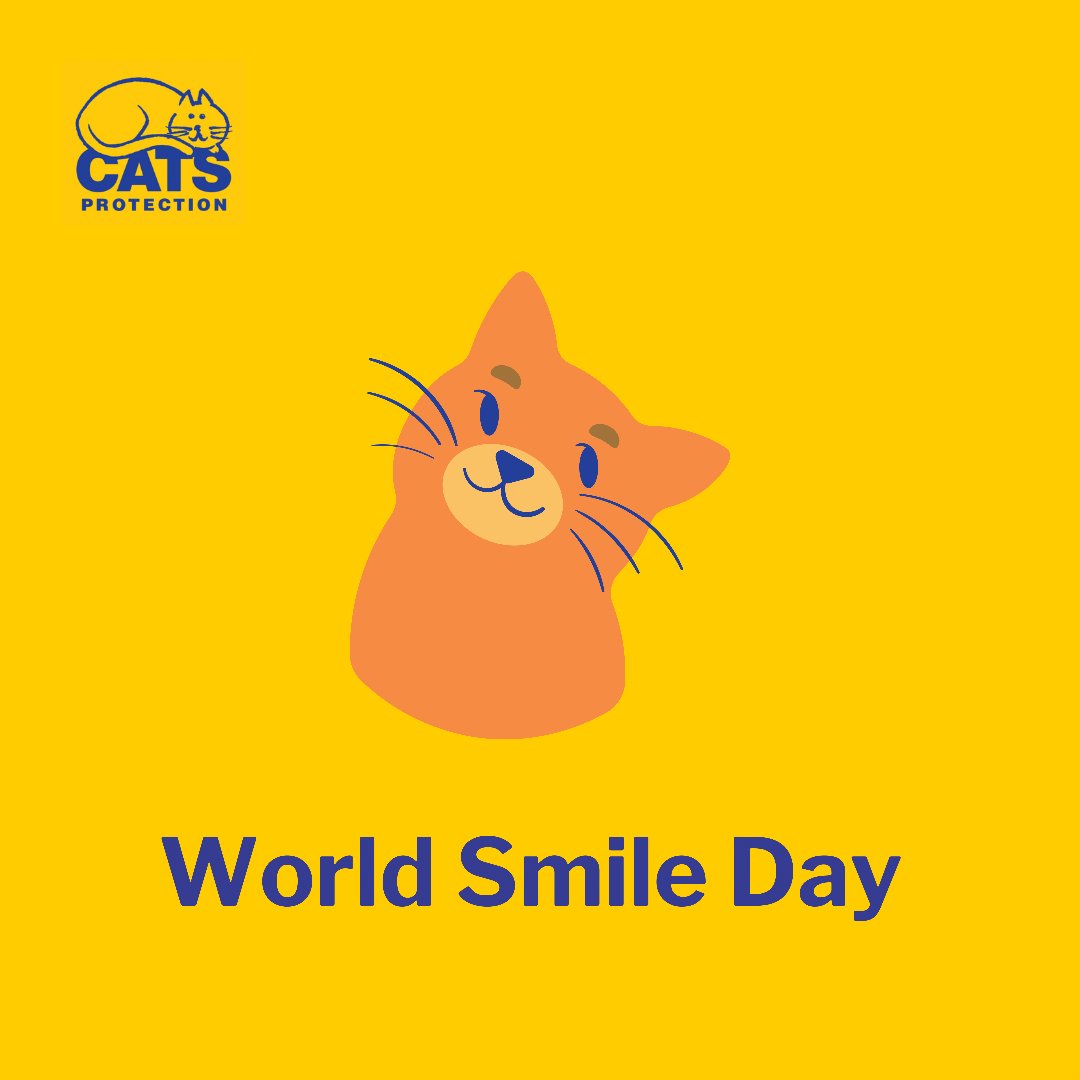 farnhamcats's tweet photo. It’s World Smile Day! Share something that your cat does to keep you smiling 😁🐱 https://t.co/CMMfcKM9AS