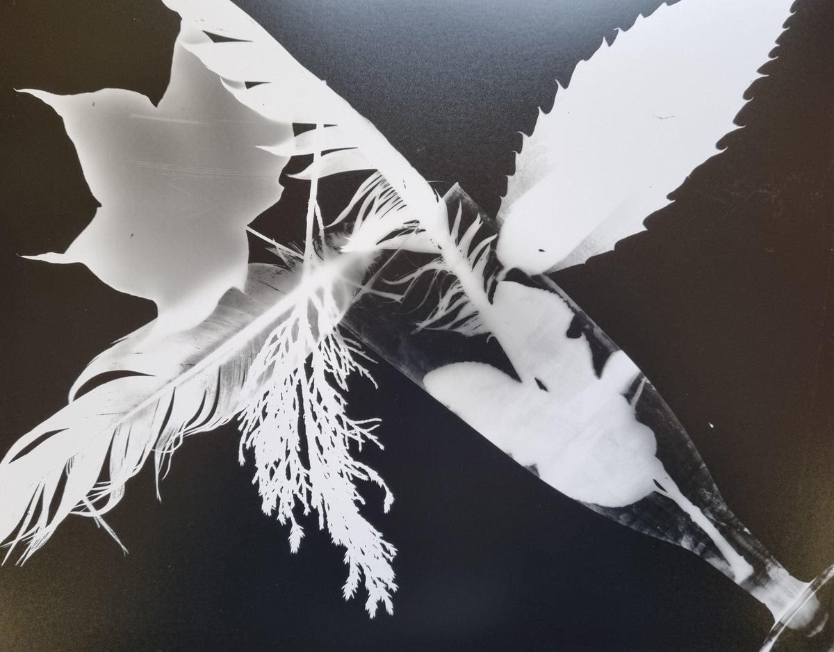 RMS Photography tweet media