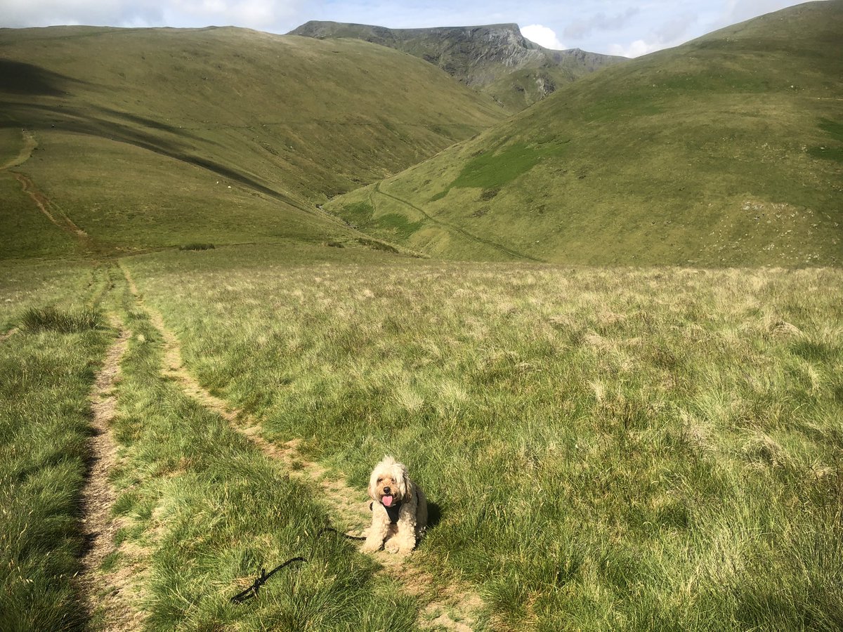 Laura Duffy (@laura_a_duffy) on Twitter photo Looking for a trust where you can work as an ED Consultant and have a specialist interest/portfolio career? Live in the Lake District? A department with a true ED workload and case mix. <a href="/NCICNHS/">North Cumbria Integrated Care NHS Foundation Trust</a> See the advert ⬇️ and get in touch
jobs.nhs.uk/xi/vacancy/916… Looking for a trust where you can work as an ED Consultant and have a specialist interest/portfolio career? Live in the Lake District? A department with a true ED workload and case mix. <a href="/NCICNHS/">North Cumbria Integrated Care NHS Foundation Trust</a> See the advert ⬇️ and get in touch
jobs.nhs.uk/xi/vacancy/916…