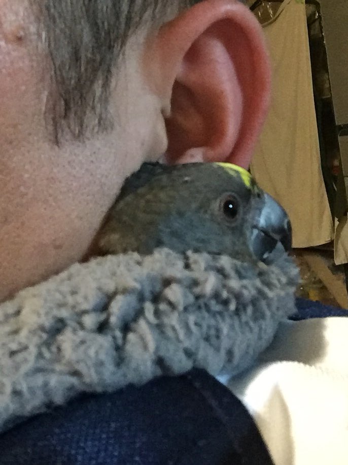 healingbird1's tweet photo. むーちゃんはいつも一緒でした。 https://t.co/1GtuEeZRmV
