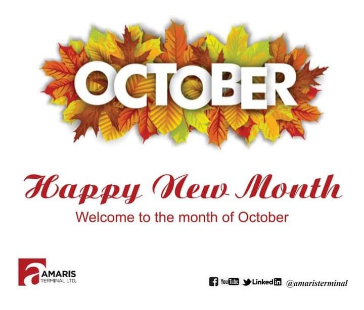 Amaris Terminal Ltd. tweet media