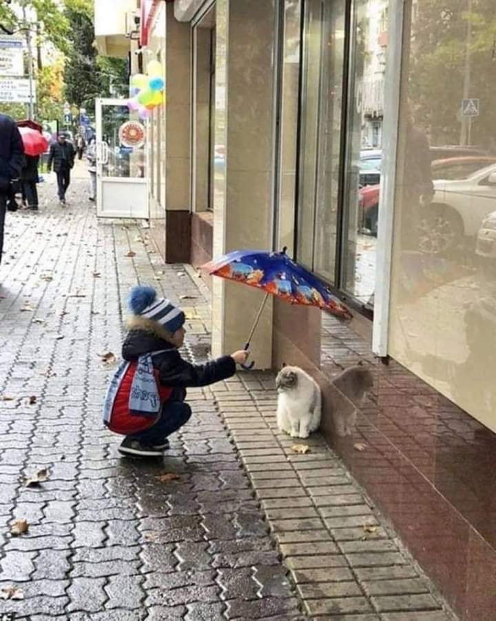 Noaraaa1's tweet photo. لن ينسى الله خيرًا قدمته،
ولا هما فرّجته ولاعينًا كادت أن تبكي فأسعدتها،
عش على مبدأ :

" كُن مُحسنًا وإن لم تلقى إحسانًا " 💙 https://t.co/v6IlFBvsHY
