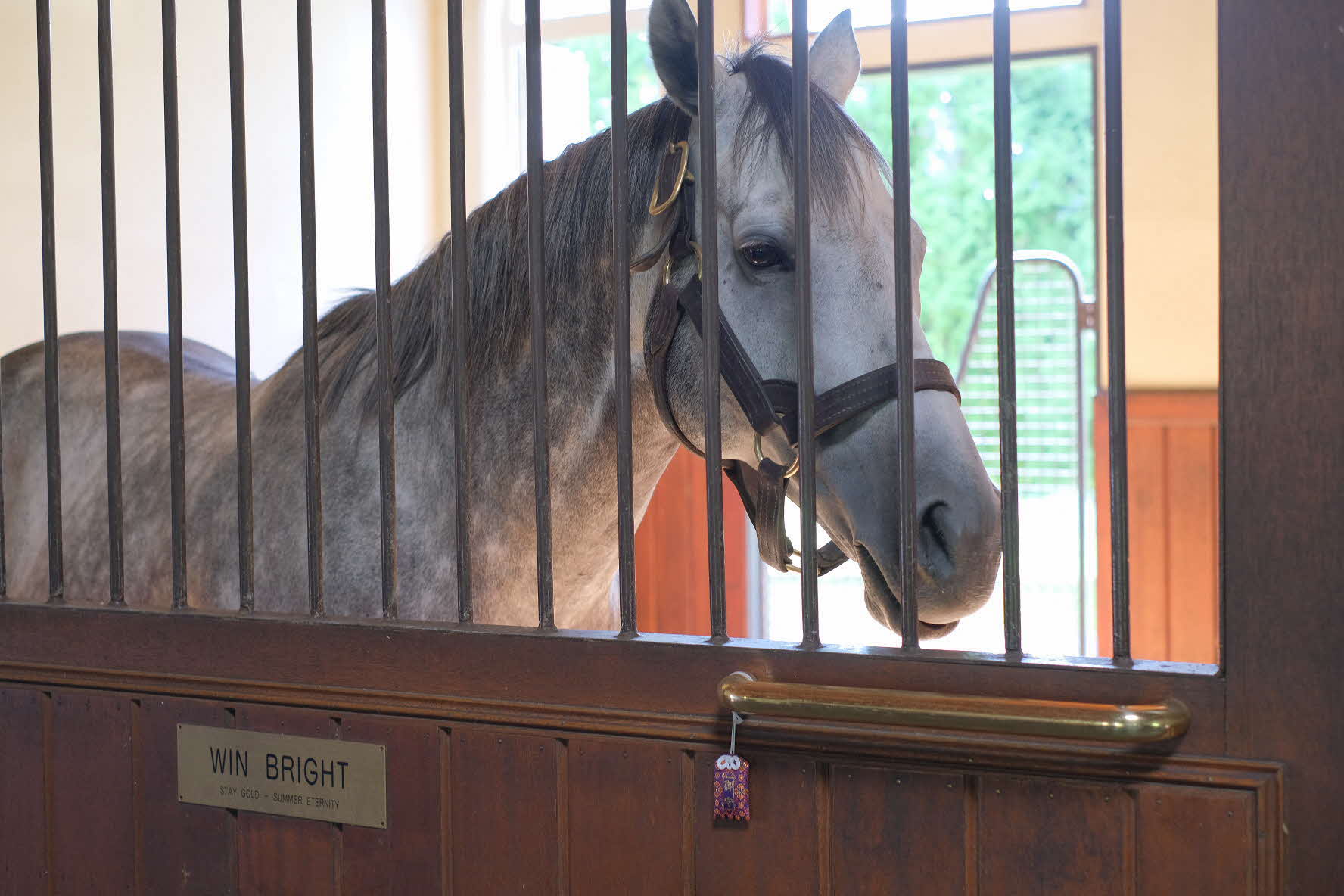 北海道 日高振興局ナナイロひだか on Twitter