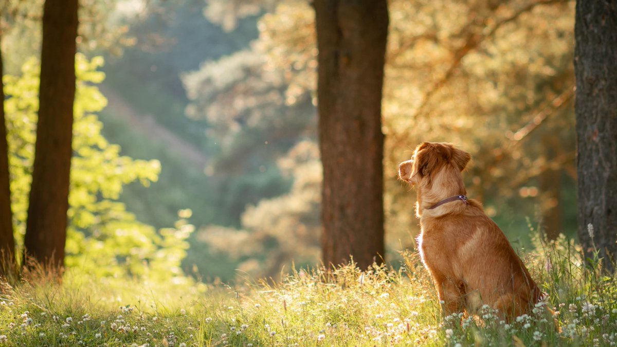 As October arrives our thoughts turn to colourful autumn walks, fully loaded hot chocolates and sooky, spine-chilling events. 

What do you love about this month?

📷 <a href="/CoombeAbbey/">Coombe Abbey</a>