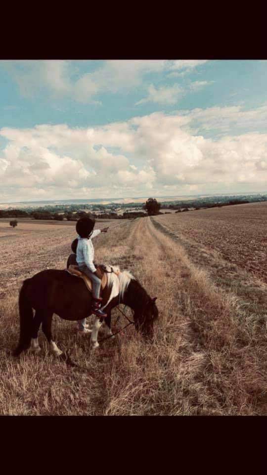 Poneys4Saisons's tweet photo. 🎃 Bonjour tout le monde ! 🎃

Poneys des 4 saisons est en plein recrutement 
Sur le centre : 
🐴 équitation 
🥕 potager 
🐏 ferme 
🏊🏽‍♀️ piscine couverte 
🪚 menuiserie 
🤹🏼‍♀️ https://t.co/WzGTRxgEXD