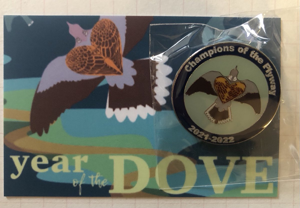 MikeDawson28's tweet photo. My #yearofthedove pin badge arrived today from @ukbirdingpins Yesterday was @flywaychampions #COTF21 raising awareness and funds for this iconic and endangered migrant. Here’s to #COTF22. https://t.co/LdZUYBdYE9