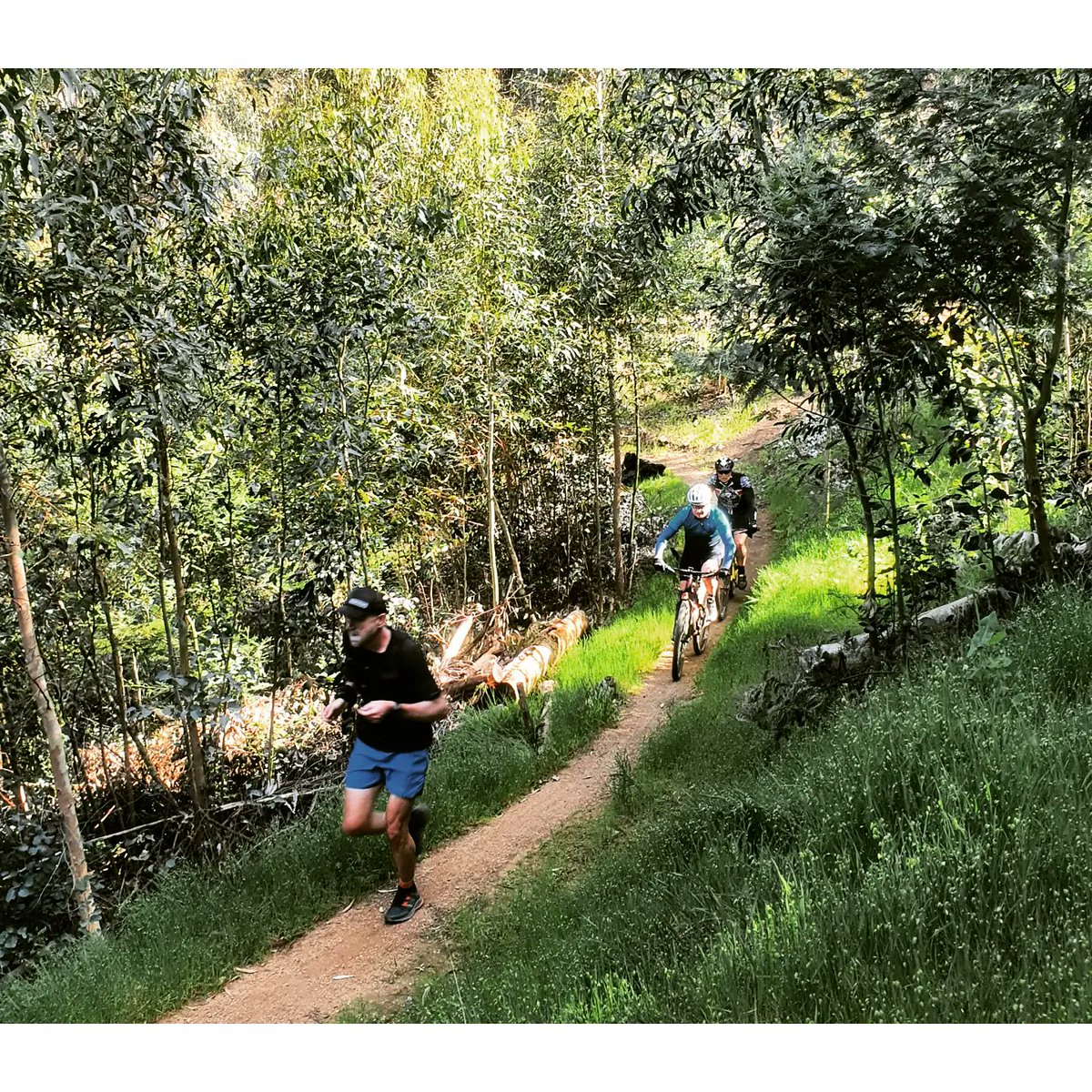 singletrack_sa's tweet photo. You can now go chase down a new #WorkdayChallenge time @dirtopia on their trails located @MuratieWines
.
Sign in at the Trail center - scan the QR code and #GetOutThere
.
#Singletrack_sa #trailrunning #loopschallenge see you out on the trails #singletrackcap #singletracktshirt https://t.co/ROeBlKMFIU