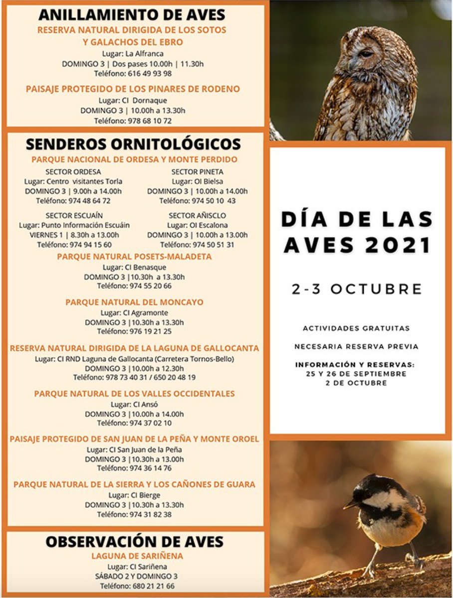 #agendaviveGuara FIN DE SEMANA #diamundialaves