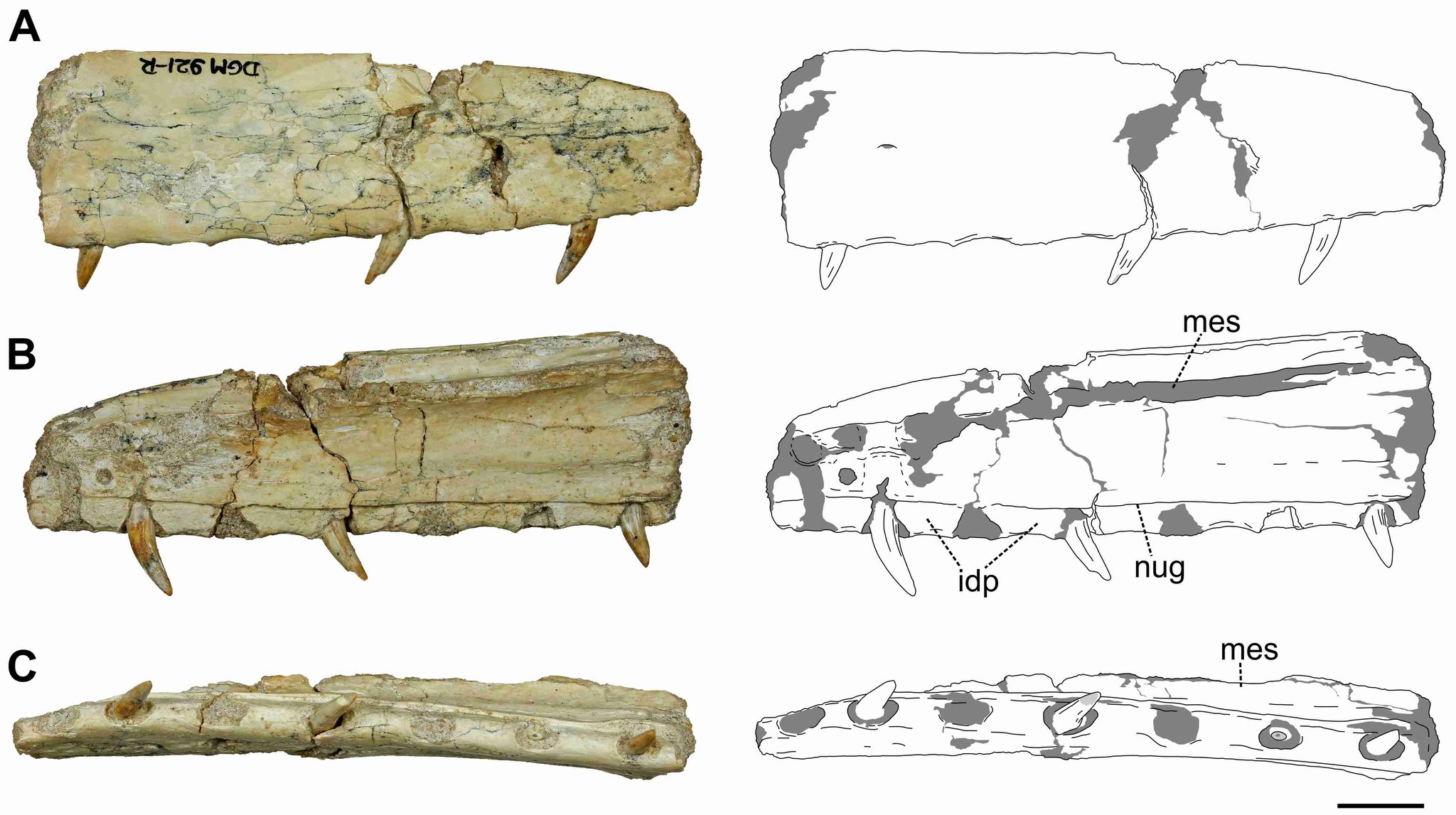 𝔽𝕦𝕞𝕚𝕗𝕦𝕞𝕚( ︎´ ︎` ︎) on Twitter