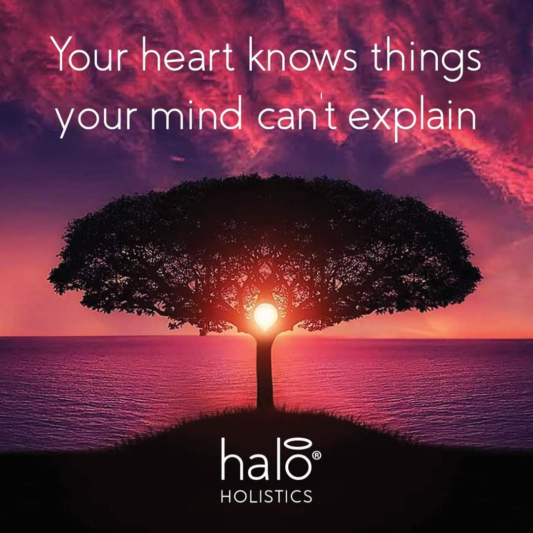 haloholistics's tweet image. October's here, a time to get cosy 🍃 🍂 🍁 

#October #2021 #heartwisdom #gowithin  #monthlymantra #calendar #haloholistics