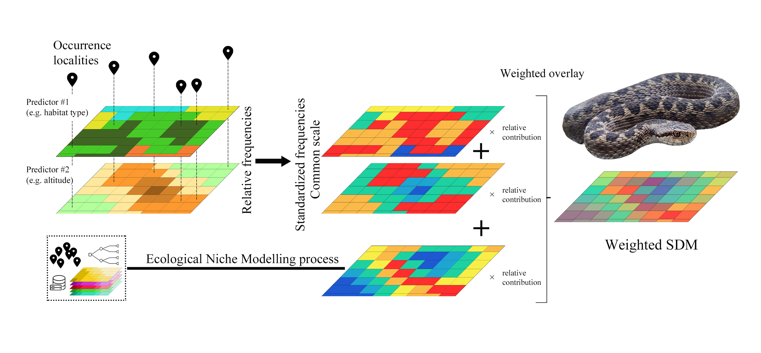 consbiog's tweet photo. Stepping towards finer #SDMs through a #weightedOverlay process to predict #EcologicalConnectivity changes, corridors to future suitable areas and to extinct populations of the European #meadow #vipers #Viperaursinii #globalchange @LUnivaq https://t.co/K6jMFe0YfH https://t.co/rAp5SkP1GT