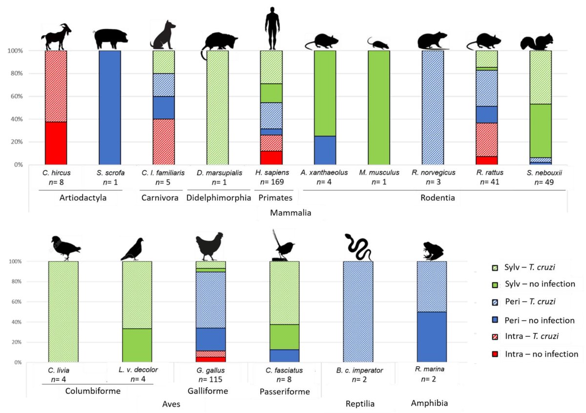 Pathogens_MDPI's tweet photo. #pathogens
Article: "#Triatomine Feeding Profiles and #Trypanosoma cruzi #Infection, Implications in Domestic and Sylvatic Transmission Cycles in Ecuador", by Dr. Mario J. Grijalva et al., is online.
👉https://t.co/hsAD4wwdad
#Chagas disease
#Trypanosoma cruzi
#triatomines https://t.co/RHzG4NrDCe
